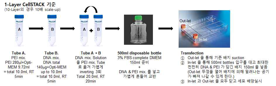 CellSTACK 이용 transfection 과정