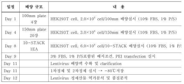 렌티바이러스벡터 대량배양 및 정제공정 일정