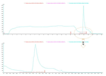1차 정제결과 : 음이온교환 크로마토그래피 크로마토그램