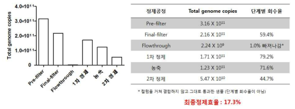 정제 단계별 바이러스 벡터 회수율