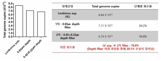 Clarification 공정 최적화. 배양액 2리터 – 10 리터