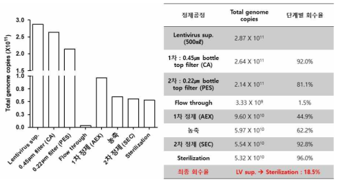 정제된 바이러스 물리적 역가 측정