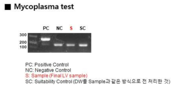 마이코플라즈마 시험 결과