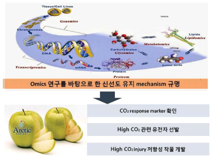 전반적 개요: 고농도 이산화탄소 유도 반응 기작 및 이용을 위한 연구 방법 예 및 향후 가능성