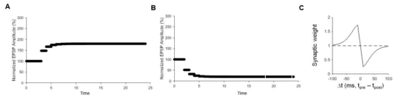 (A-B) 시냅스 가소성 모델에 의한 시냅스전 반응(tpre)과 시냅스후 반응(tpost)의 시간 차이(Δt)가 +10 ms일때 (A)와 –10 ms 일때 (B)의 시냅스 효율 변화 (C) 구축된 모델의 STDP 시냅스 가소성 패러다임