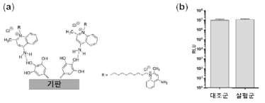 수소결합을 활용하여 염화 디쿠이라니움이 적층된 모습, (b) 발광박테리아를 이용, 항박테리아성 평가한 실험결과