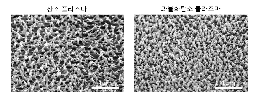 제작한 PLGA 마이크로/나노 기둥 구조