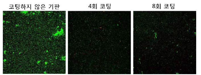 ZW-DOPA로 스프레이 코팅한 기판에서의 항박테리아성 기능 평가 결과