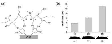 (a) 수소결합을 활용하여 탄닌산과 글라이콜 키토산이 적층된 모습. (b) 코팅 횟수에 따른 박막 두께와 물 접촉각 결과
