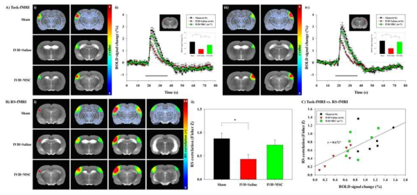 IVH 동물 모델에서 stem cell 치료 후 BOLD-fMRI(A) 와 rs-fMRI 결과 (B)