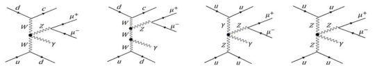 ( pp → Zγjj → μμγjj )의 다이어그램; 왼쪽 2개는 표준모형에 의해 허용되는 정상결합이고, 오른쪽 2개는 허용되지 않는 비정상결합이다