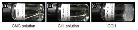 Carboxymethyl cellulose(CMC)와 Chitosan(CHI)의 이온 결합을 통한 CMC-CHI(CCH) 하이드로젤