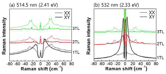 (a) 514.5 nm (2.41 eV), (b) 532 nm (2.33 eV) 여기 광원을 이용한 WS2 박막의 편광 라만 스펙트럼