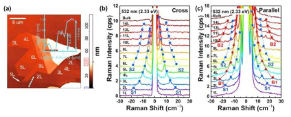 (a) SnS2 박막 시료의 원자힘 현미경 그림. 입사광과 산란광의 상대적 각도가 (b) 수직, (c) 수평일 때 SnS2 박막 시료의 층수 별 라만 스펙트럼