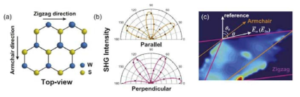 (a) WS2 단일층의 결정 구조 그림. (b) 편광각도 별 SHG 신호 세기 변화. (c) Exciton/Trion PL 신호 비율 맵핑 이미지와 WS2 단일층의 결정 구조 방향