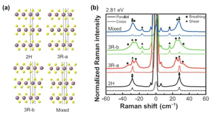 MoS2 삼중층의 적층 구조 별 (a) 결정 구조 모식도, (b) 저주파 편광 라만 스펙트럼