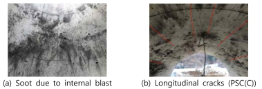 Crack patterns of specimens