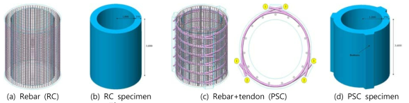 Rebar and Tendon locations (unit : mm)