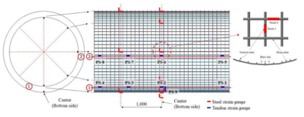 Strain and tendon gauge locations