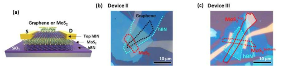 (a) Top floating gate MoS2 소자의 개념도. (b) 제작되 그래핀 플로팅 게이트와 (c) MoS2 플로팅 게이스 소자의 광학 이미지