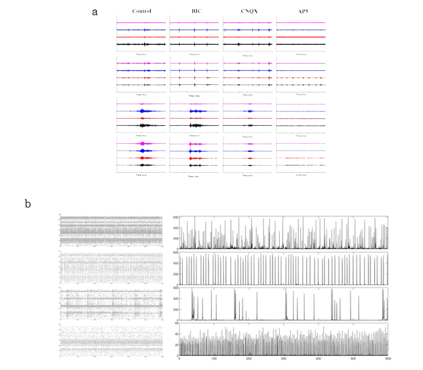 MEA를 이용하여 측정한 신경 세포 신호 각각 30초, 1초(a), 신경 세포의 raster plot과 raster histogram(b)