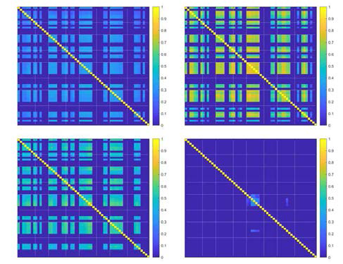 Cross correlation을 통하여 채널, 챔버별 연관성 분석 좌측 상단부터 시계방향으로 각각 control, BIC, AP5, CNQX를 투여한 결과이다