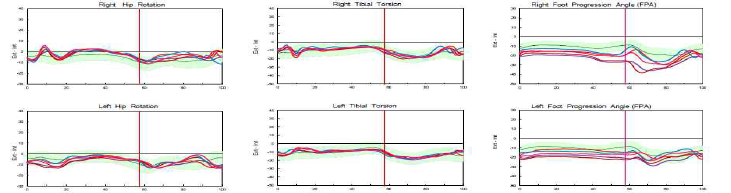 major indicators measured in transverse plane-2