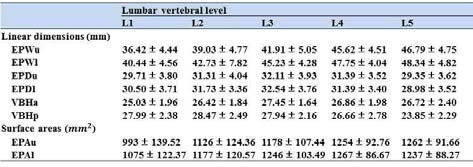 Results of vertebral body dimensions