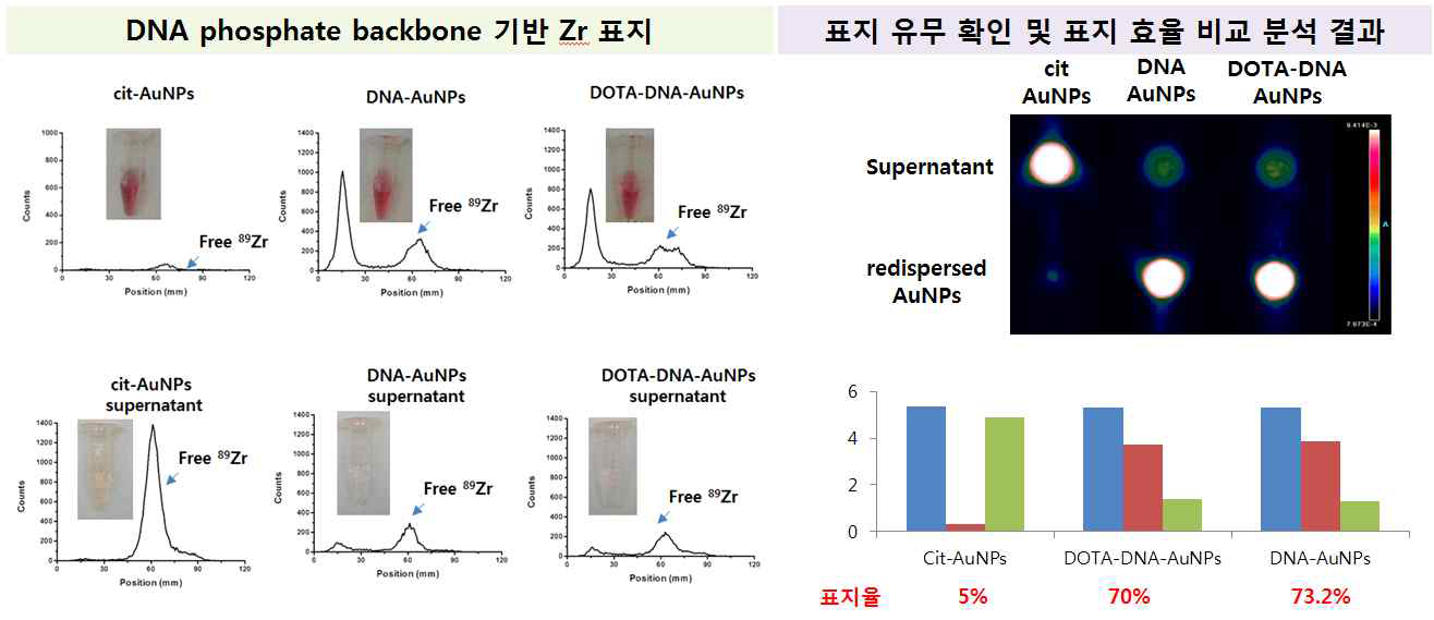 Phosphate backbone에 Zr 동위원소 표지 방법 비교 결과