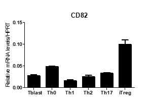 Th 세포별 CD82 발현량 분석