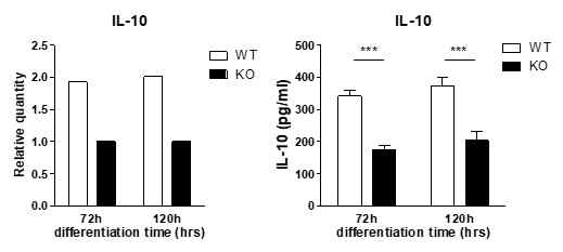 iTreg 세포의 IL-10 발현 비교