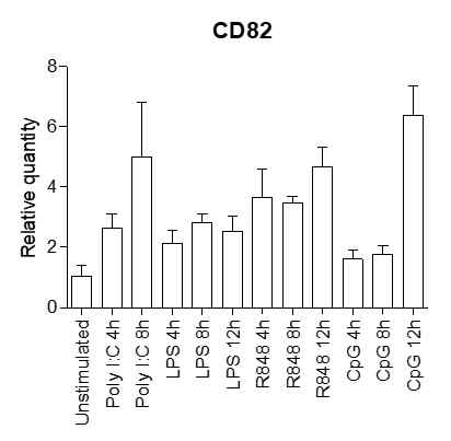 TLR 자극에 따른 CD82의 발현량 변화 분석