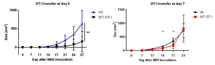 OT-I T 세포 이식 시기에 따른 암성장률 변화 분석