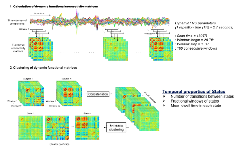 dynamic functional connectivity flow map