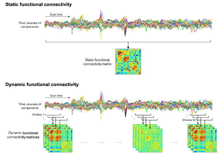 static functionalconnectivity와 dynamic functional connectivity 분석 비교