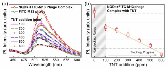 (a) TNT 농도에 따른 형광 신호의 세기 변화. (b) 나노바이오센서의 TNT 검출 감도