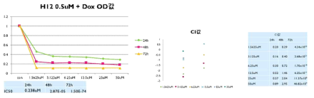 화학물과 항암제와의 combination 효과 확인