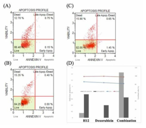 FACS analysis of MDA-MB 231 cells following (A) H12, (B) Doxorubicin, (C) Combination and (D) Quantification of FACS analysis