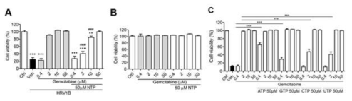 NTP inhibited the antiviral activity of gemcitabine in vitro