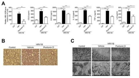 Pochonin D prevents HRV infection in mice