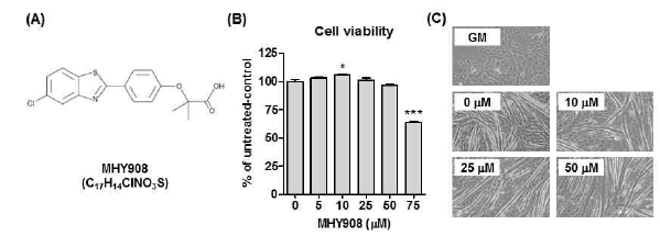 MHY908의 세포독성 및 근세포 분화에 미치는 영향
