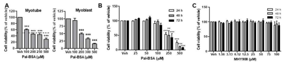 근육세포 생존율에 대한 palmitate-conjugated BSA와 MHY908의 영향