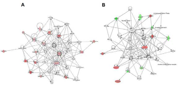 Networks predicted by IPA in DEG