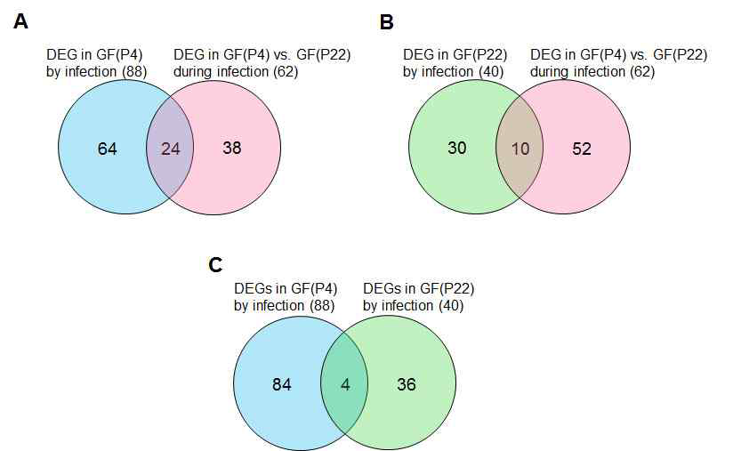 Venn diagram summarizing the overlapping of the DEG from paired comparison numbers of DEGs with a false discovery rate (FDR) < 5%