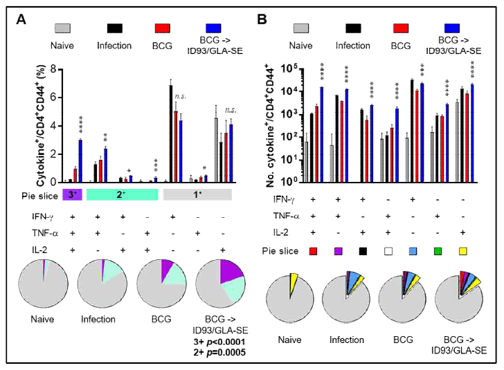 감염 후 폐 세포에서의 ID93 면역화에 의해 유도되는 항원 특이적 T 세포 활성능 평가
