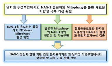 난치성 두경부암에서의 NAG-1 유전자제어 기반 맞춤형 암치료 전략 기술개발을 위한 본과제의 연구개요