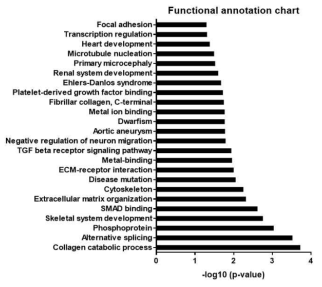 Ick 단백질의 binding partner에 대한 functional annotation chart