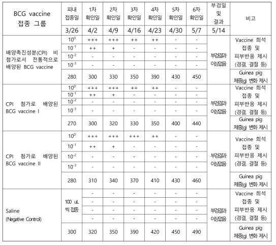 배양촉진성분의 첨가/비첨가로 배양된 BCG 백신의 피부반응실험 분석