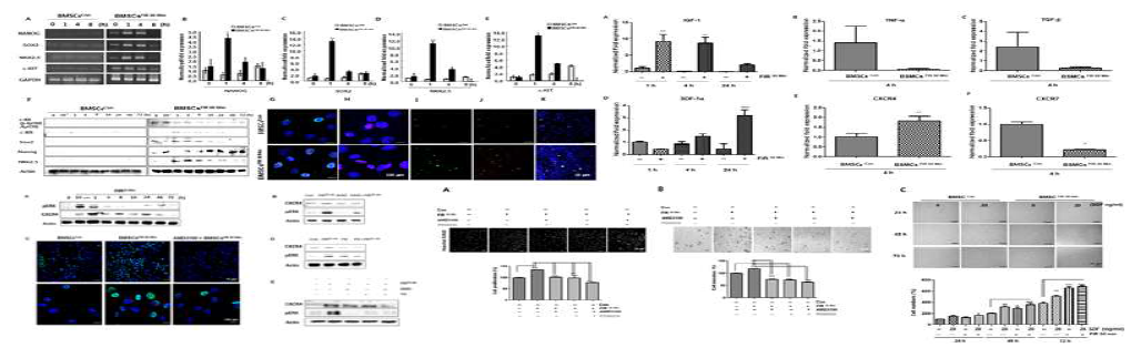 원적외선이 BMSC의 줄기세포 활성화 유도. RT-PCR과 real-time PCR, Western blot, 형광면역염색을 통해 원적외선이 줄기세포마커들의 유전자와 그 관련 단백질 발현을 증가 시키는 것을 검증함. real-time PCR를 통해 원적외선 조사 후 BMSC의 IGF-1과 SDF-1a 의 발현을 증가 시키고, TGF-b와 TNF-a 발현을 억제가 관찰됨. 원적왼선 관련 신호 전달은 Western blot으로 확인함. 원적외선이 유도하는 줄기세포기능강화에서 CXCR4와 pERK가 중요한 역할을 한다는 것을 AMD3100(CXCR4)와 PD98059(pERK)를 이용하여 재검증