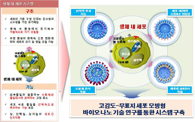 본 과제의 핵심 개념도